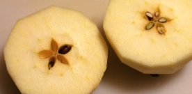 The Story of How the Apples Got Stars Within