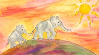 I Dreamed Of Africa – Going On Safari
