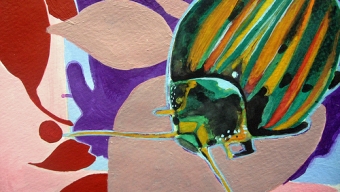 Golden Beetle Books: Geneii of Language