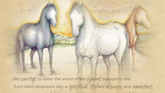 Fears Are a State of Mind