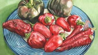 Zynnia Fixes A Mexican Meal