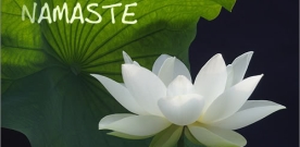 Namaste