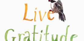 Simple Activity Idea to Show Gratitude and Giving with Your Children