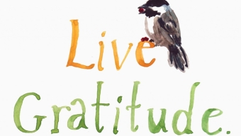 Simple Activity Idea to Show Gratitude and Giving with Your Children