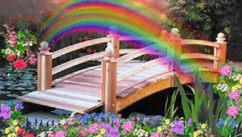 Rainbow Bridge Birthday Story