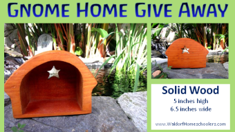 Gnome Home Give Away